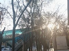 -海尔巴格一甸茶餐厅(团结路店)