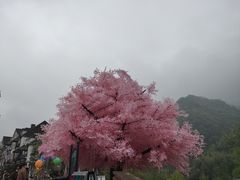 -四川省成都市彭州市白鹿镇