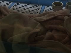 -雨林宠物医院 非犬猫异宠专科