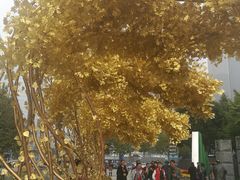 -重庆市江北嘴中央商务区中央公园