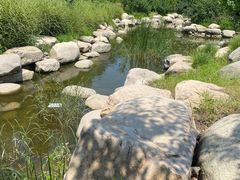 -莲花池公园