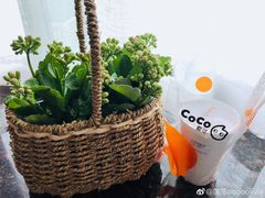 -CoCo都可(恒隆456店)