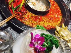 -蜀大侠火锅(建设路第五大道店)