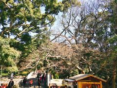 -普陀山风景名胜区-法雨禅寺