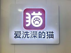 -爱洗澡的猫(天河路店)