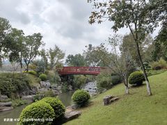 -羊山湖公园