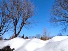 -中国人民抗日战争纪念雕塑园