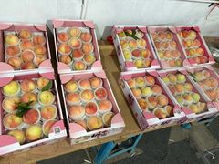 -南汇水蜜桃采摘(大团店)