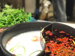 -钢管厂五区小郡肝火锅串串香(总店)