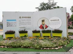 -荷兰花海