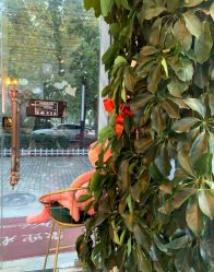 -东宫造型Eastern palace