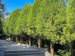 -禅宗少林·音乐大典