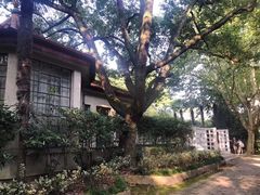 -上海海洋大学鱼文化博物馆(军工路校区)