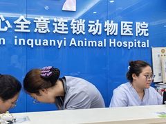 -全心全意连锁动物医院·微创中心·内科急重症·心脏专科(丰管路店)