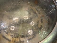 -青蓬蒸汽海鲜·深圳老字号·团建聚会(壹方城店)