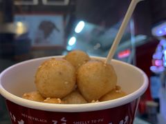 -黑色经典臭豆腐·湖南特产(坡子街店)