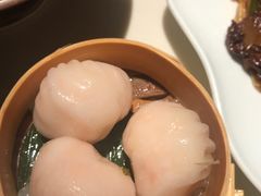 -唐茶苑(Soho)