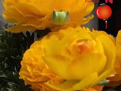 -苏浙汇(朝外店)