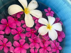 -中央格兰德岛温泉度假酒店 - 全包