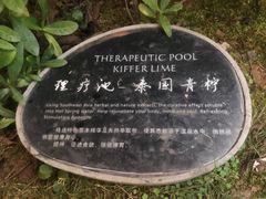 -广州从化都喜泰丽度假温泉酒店