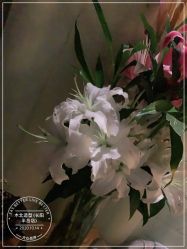 点击看大图 -木北造型