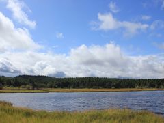 -塞罕坝国家级自然保护区