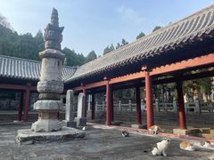 -四门塔风景区