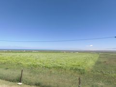 -青海湖国家重点风景名胜区