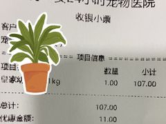 -特一安24小时宠物医院·骨科·中兽医