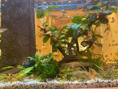 -大家乐(广州天河城六楼店)