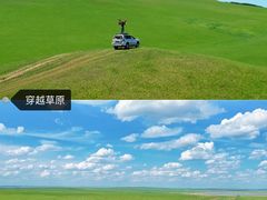 -呼伦贝尔大草原
