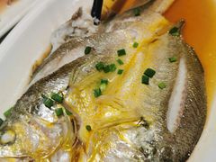 -华盛丰温州大排档(东三环南路店)