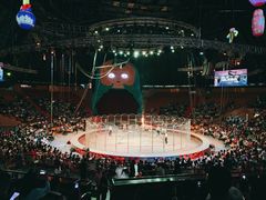 -俄罗斯国家大马戏团