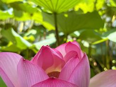 -醉香隆.山水庭院.湖北菜(东湖店)