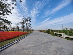 -芒洲湿地公园