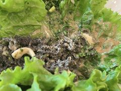 -民族饭荘(新华大街店)