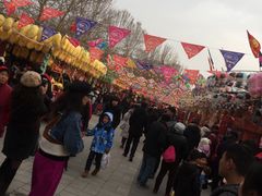 -朝阳公园游乐园