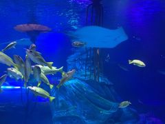 -沈阳海洋探索中心