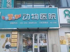 -瑞派宠物医院·24h·骨外科·皮肤科·全科宠物医疗转诊中心(沈阳浑南院)