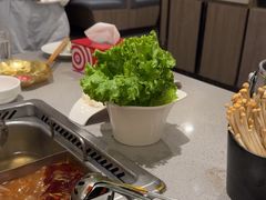 -海底捞火锅(高新万达广场店)
