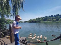 -上海怡沁园度假酒店