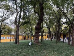 -西园戒幢律寺