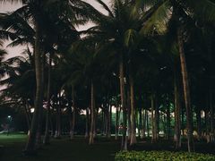 -万绿园