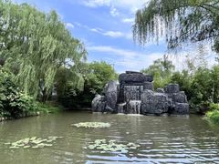 -溱湖国家湿地公园