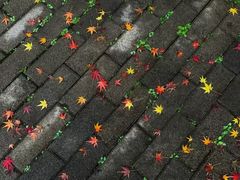 -杭州半山国家森林公园