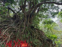 -飞霞风景名胜区