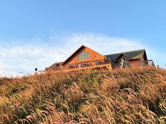 -露天矿生态公园