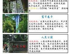 -王婆婆老妈蹄花川菜馆·非物质文化遗产(太古里一店)