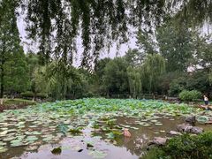 -孝子祠公园