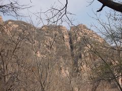 -大岭沟猕猴桃谷风景区